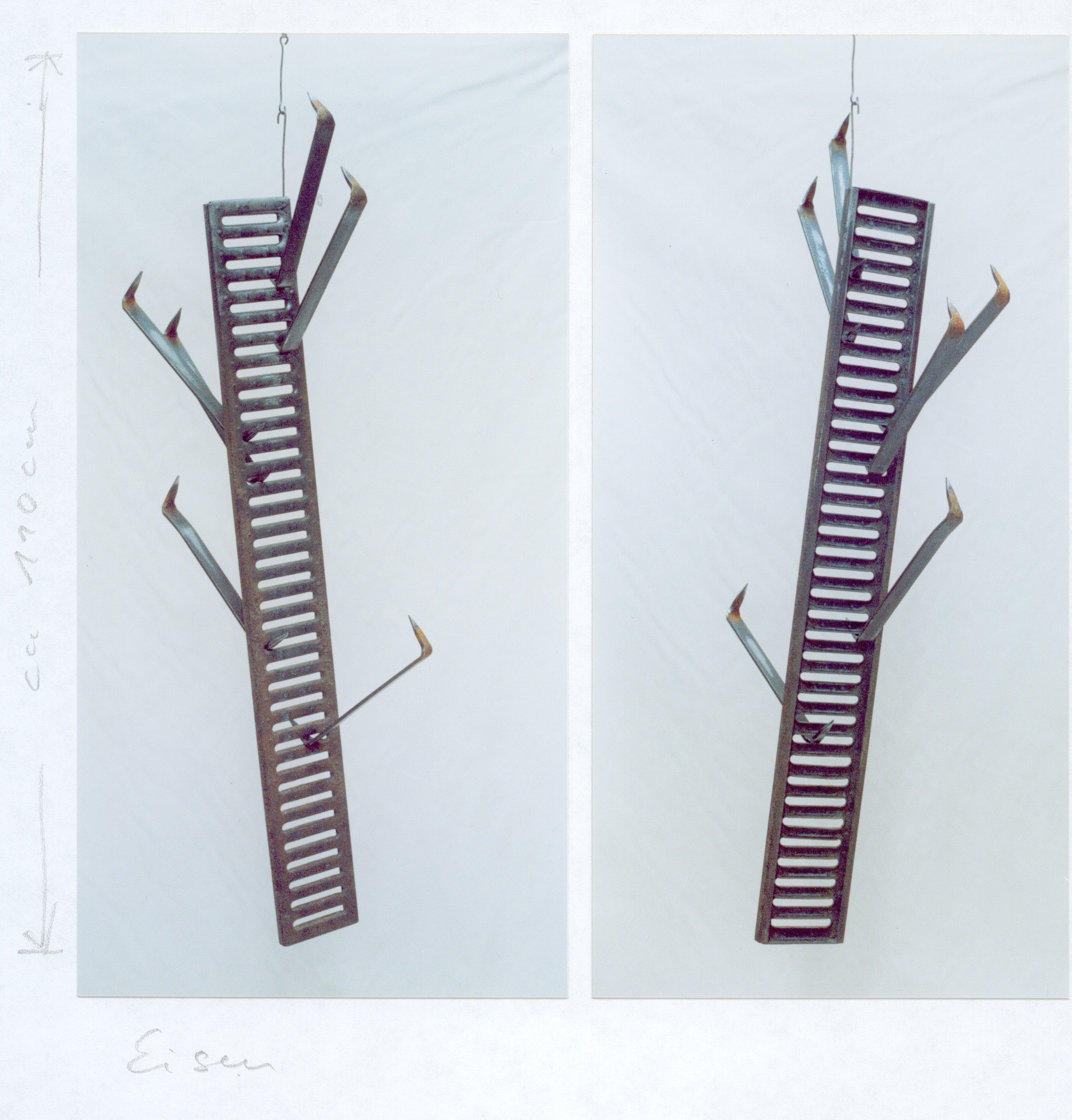 aufstieg der pinguine