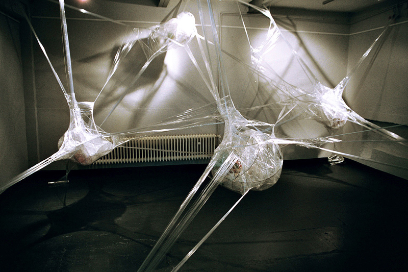 netspace1