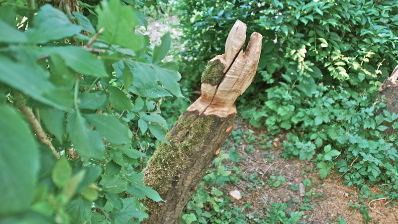 11 GartenAtelierSind