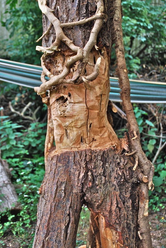 15 GartenAtelierSindlingen