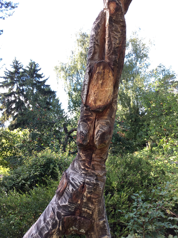 25 Pilzwanderung und Garten