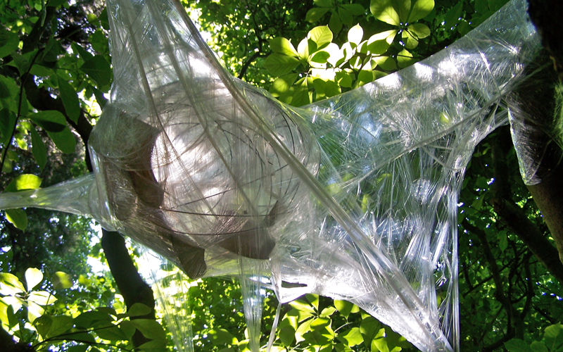 LandschaftsLücke - 54