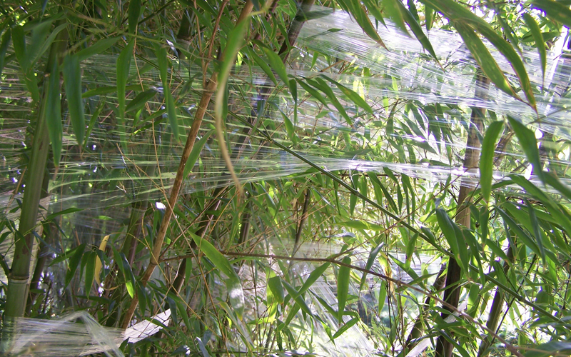 LandschaftsLücke - 64