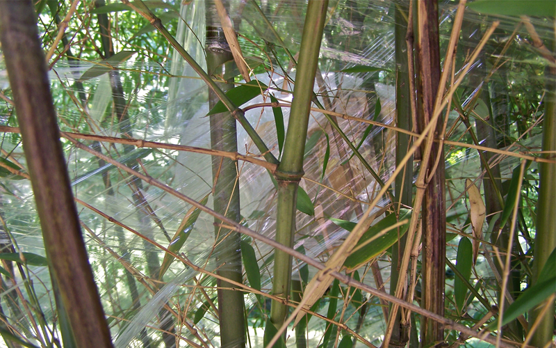 LandschaftsLücke - 68