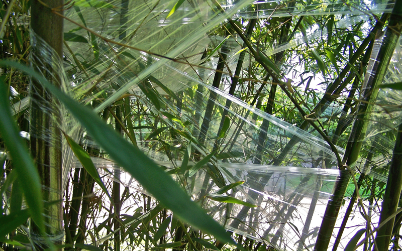 LandschaftsLücke - 81