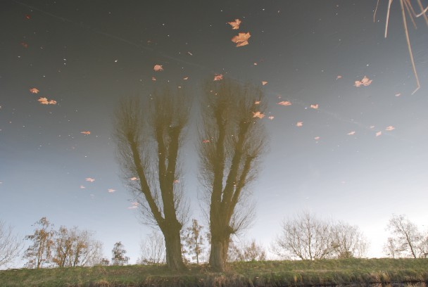 wasserland02_608_408_90