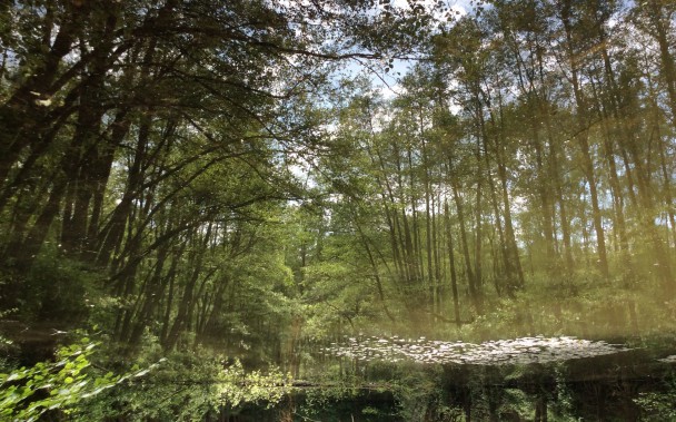 wasserland07_608_379_90